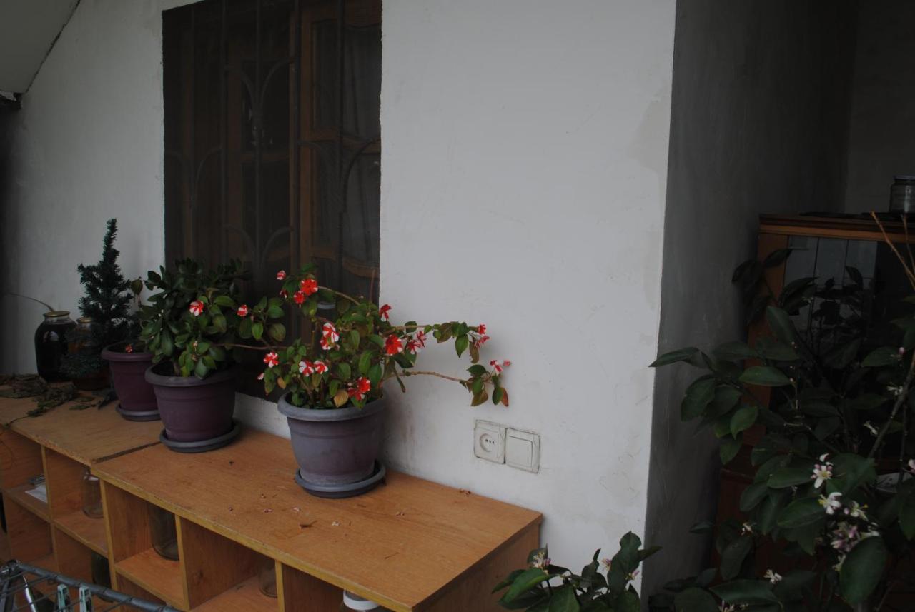 Family Guesthouse - Macharashvili Tiflis Exterior foto